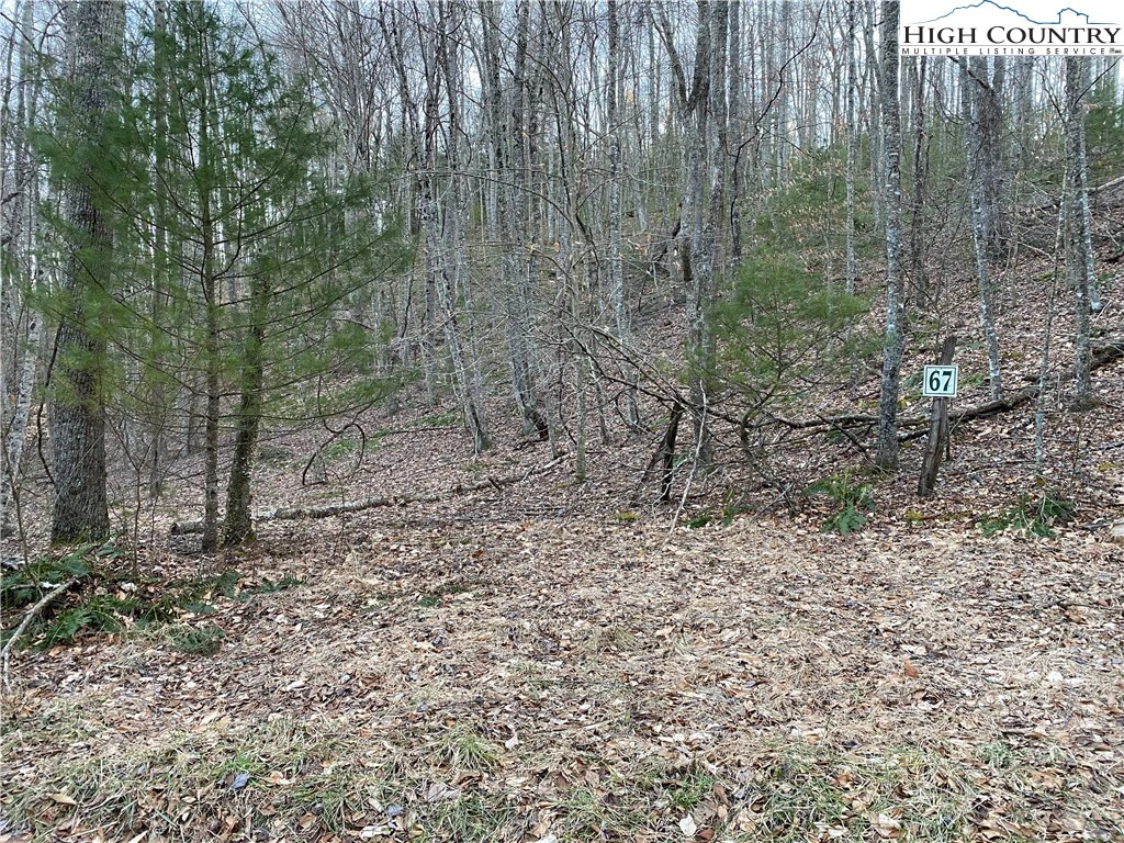 Image number 9 for the current listing