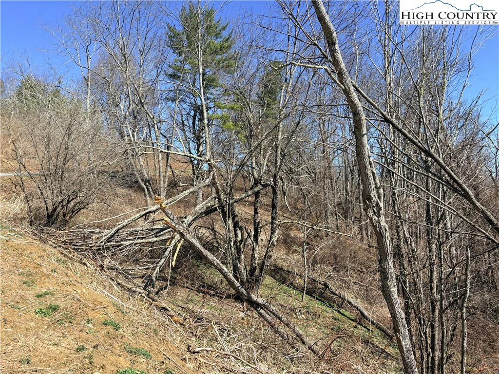Image number 3 for the current listing