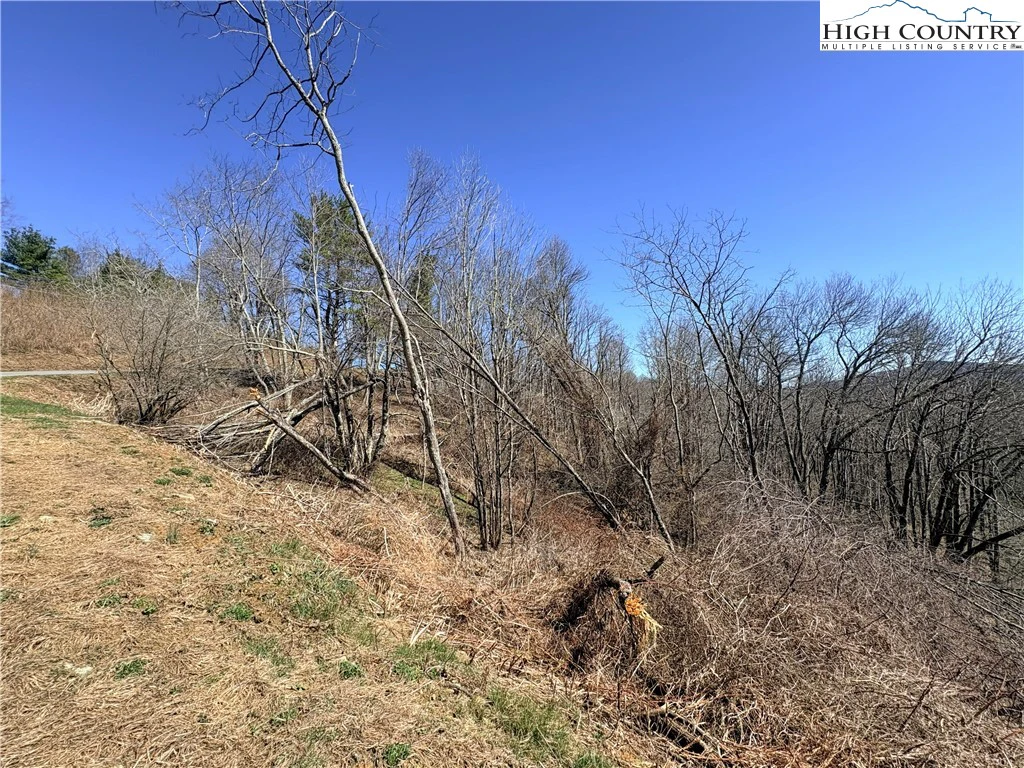 Image number 4 for the current listing