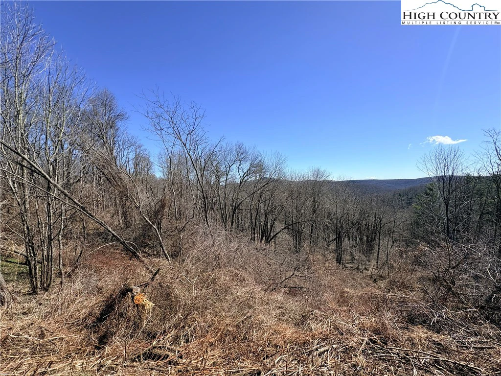 Image number 5 for the current listing