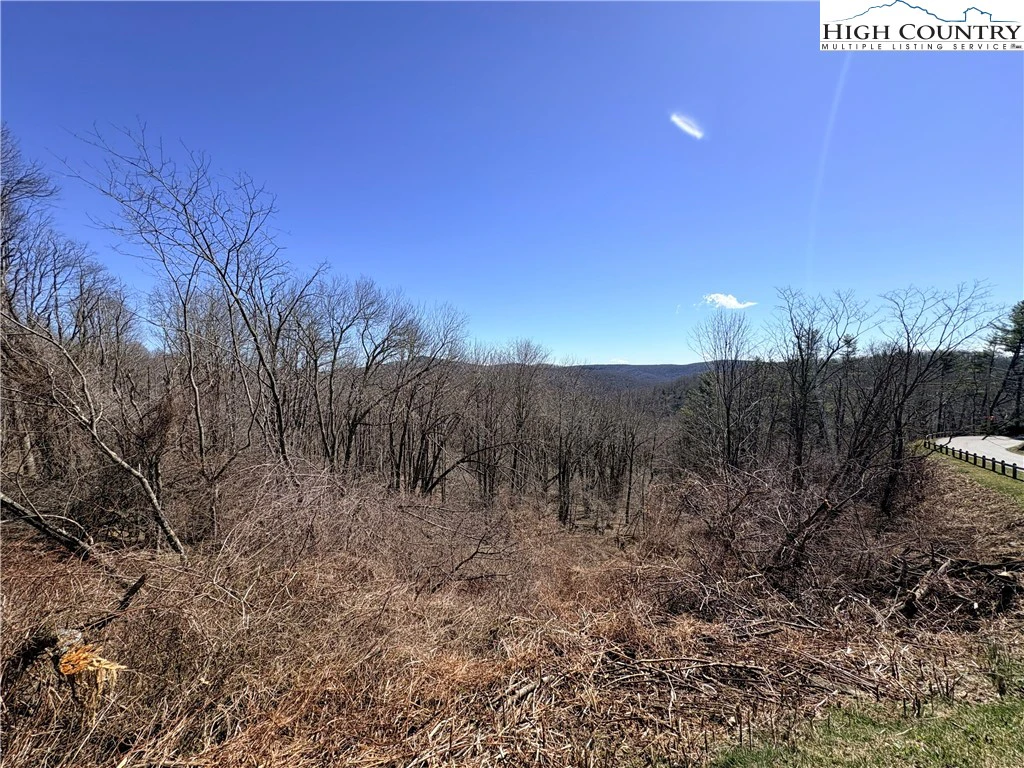 Image number 7 for the current listing