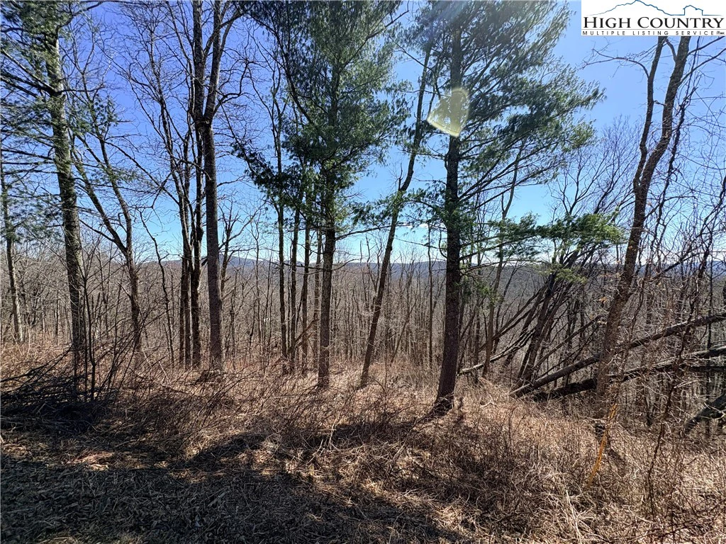 Image number 9 for the current listing