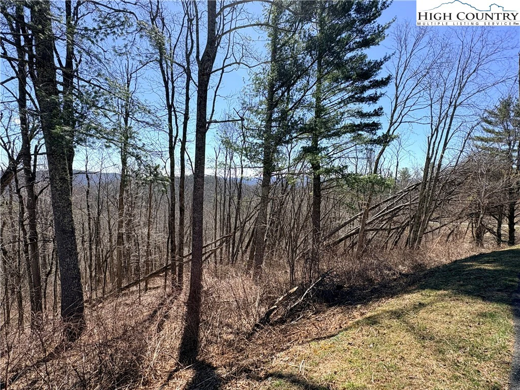 Image number 13 for the current listing