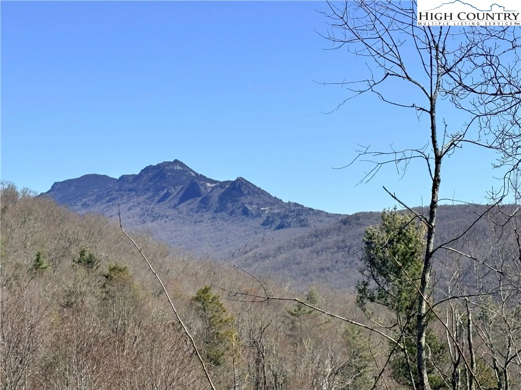 Image number 6 for the current listing