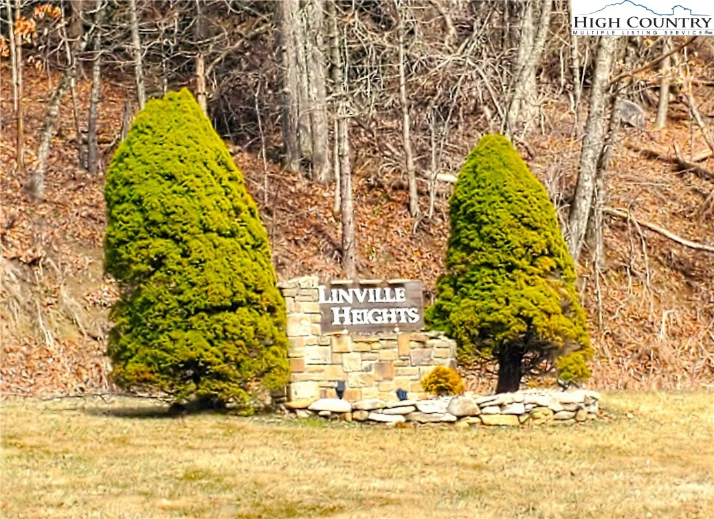 Image number 1 for the current listing