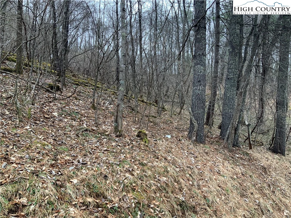 Image number 6 for the current listing