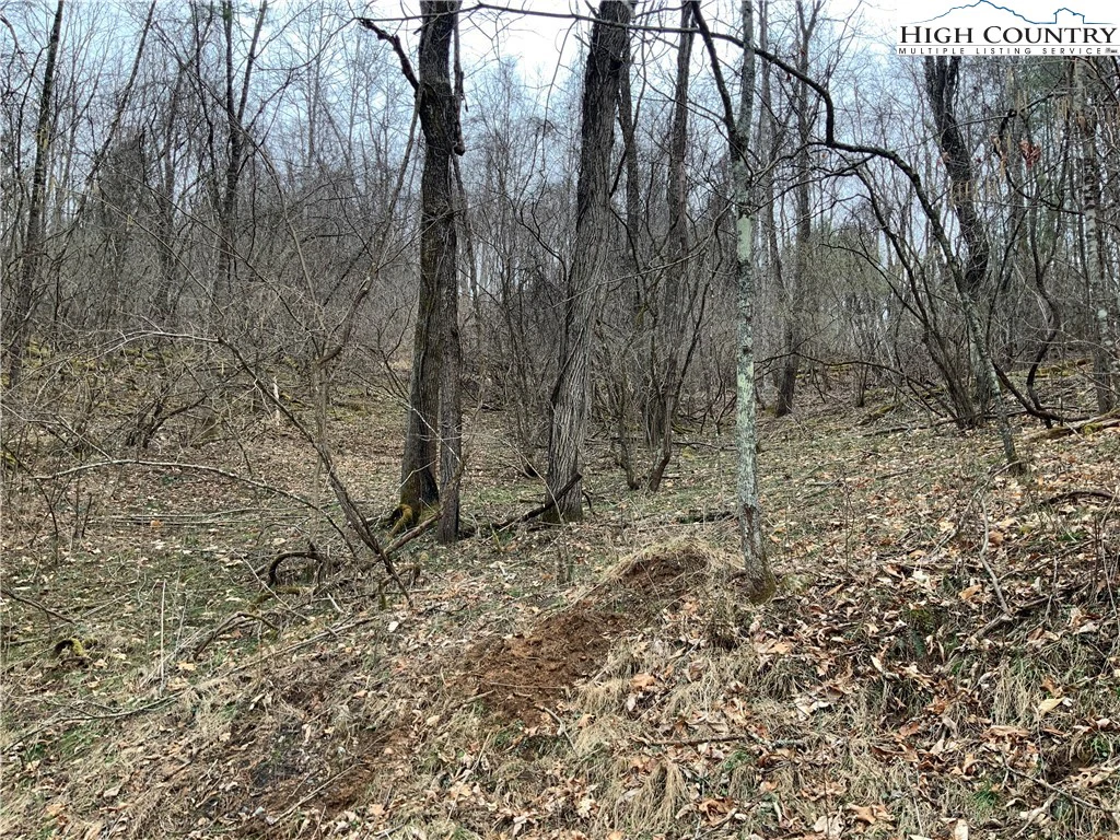 Image number 1 for the current listing