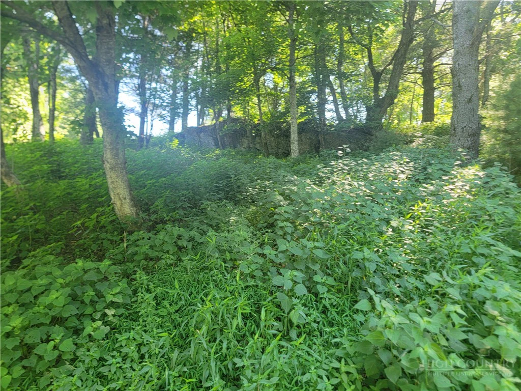 Image number 2 for the current listing