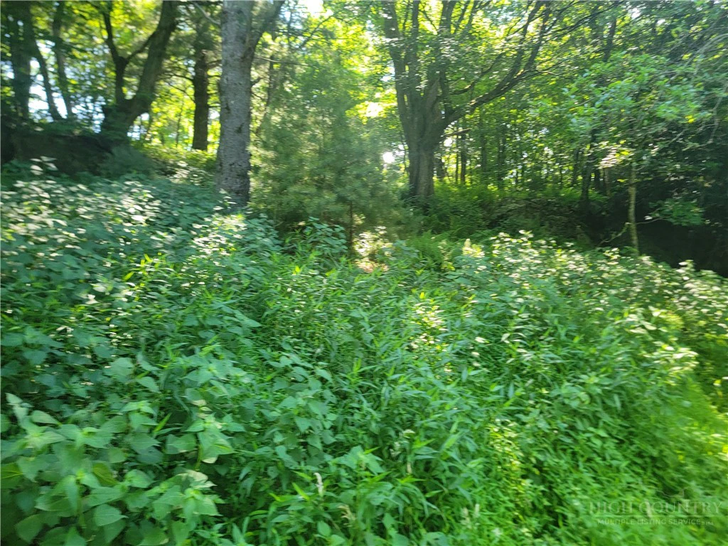 Image number 3 for the current listing