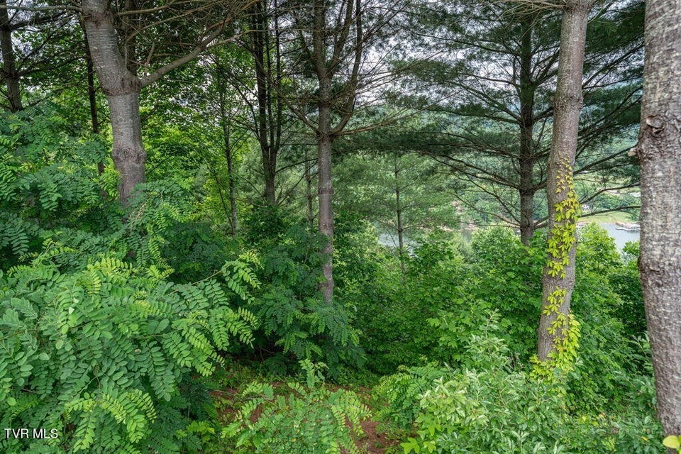 Image number 2 for the current listing