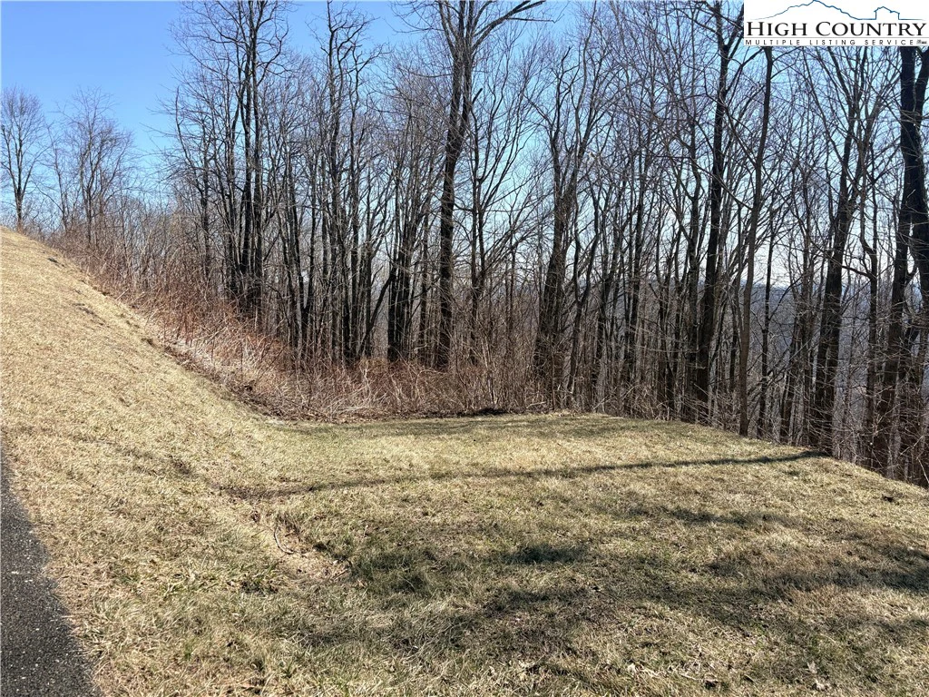 Image number 9 for the current listing