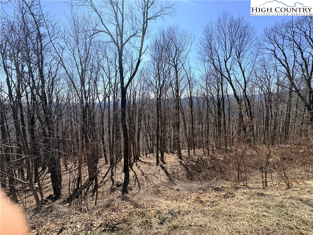 Image number 8 for the current listing
