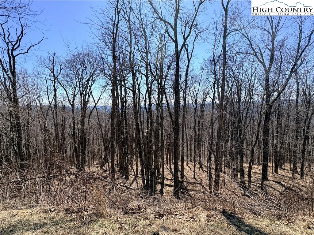Image number 7 for the current listing