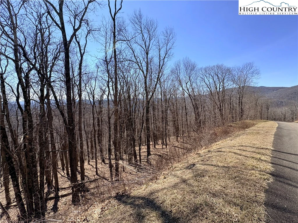 Image number 6 for the current listing