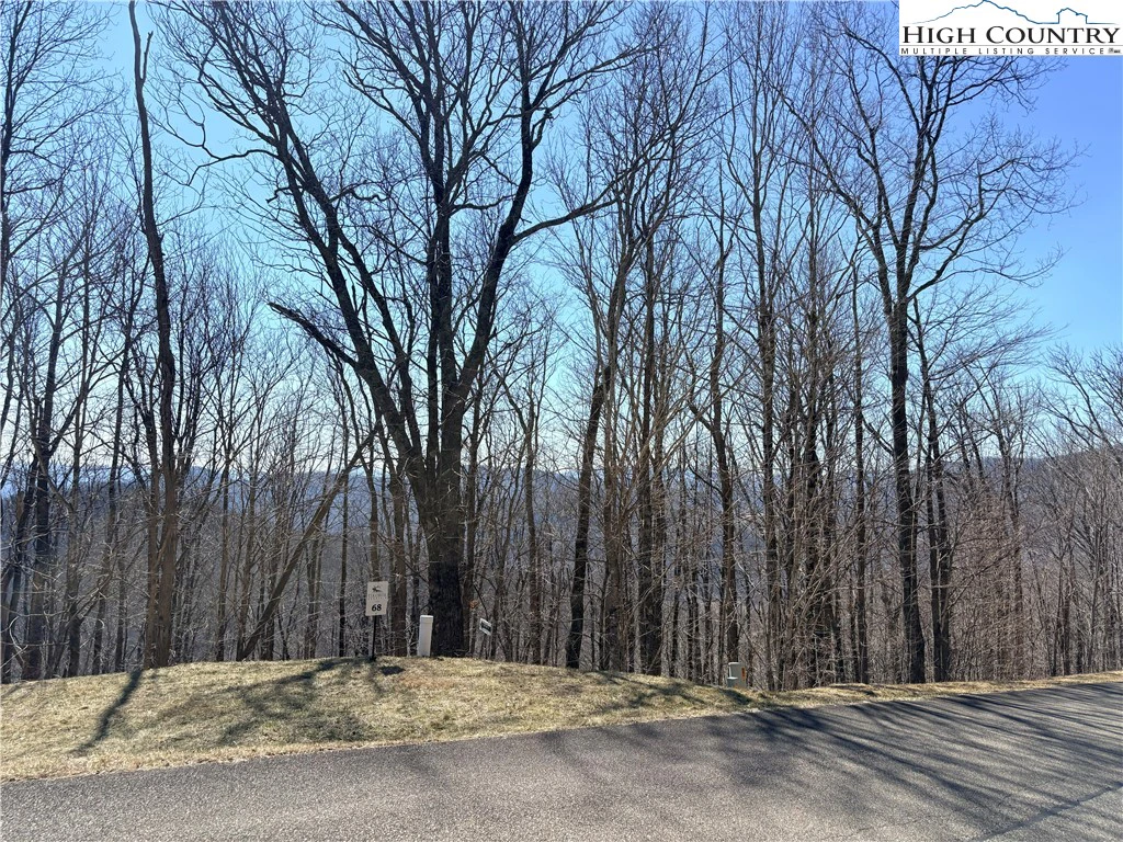 Image number 4 for the current listing