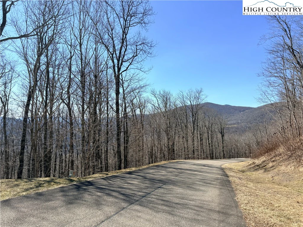 Image number 3 for the current listing