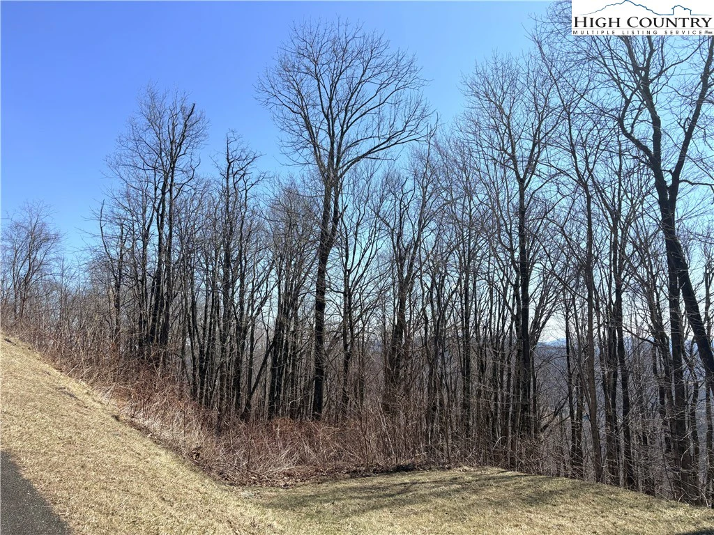 Image number 12 for the current listing