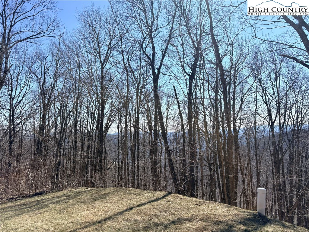 Image number 11 for the current listing