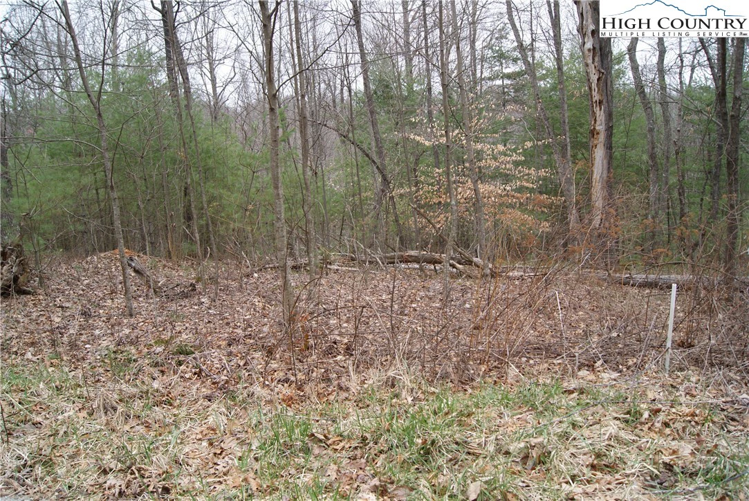 Image number 1 for the current listing