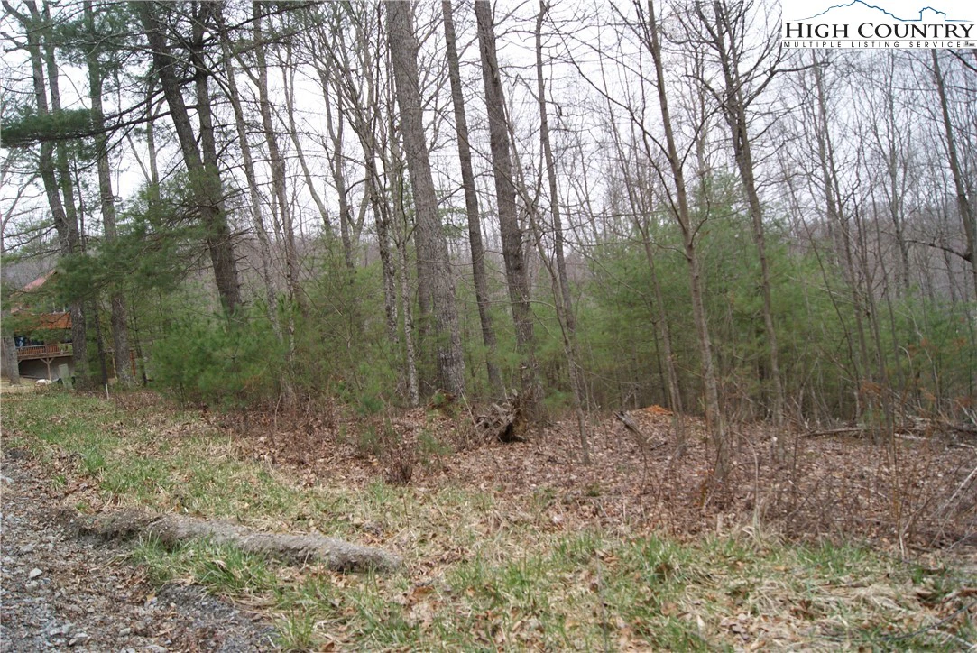 Image number 3 for the current listing