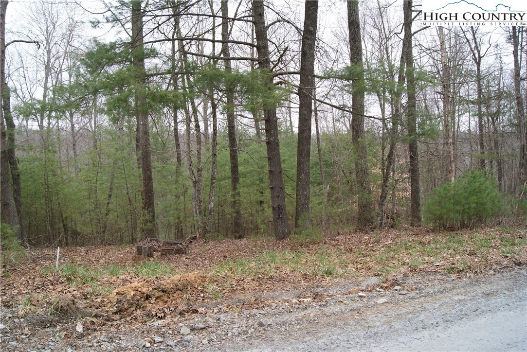 Image number 4 for the current listing