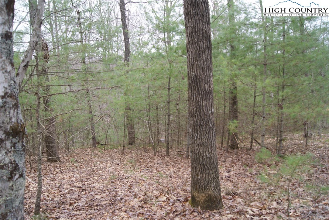 Image number 5 for the current listing