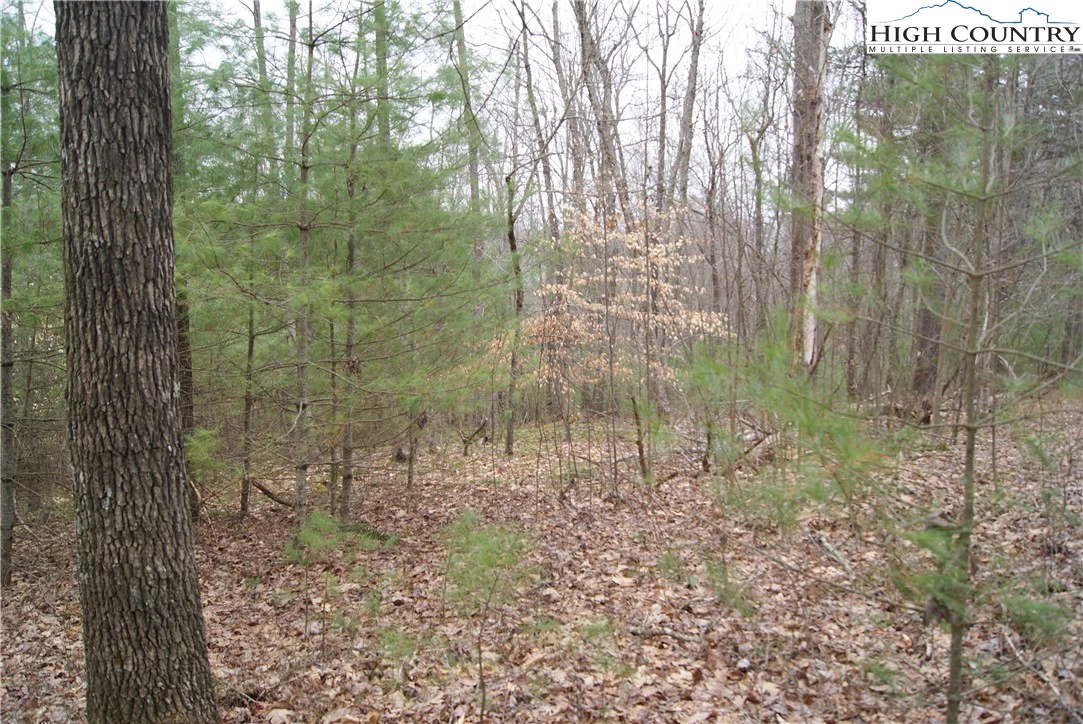 Image number 6 for the current listing