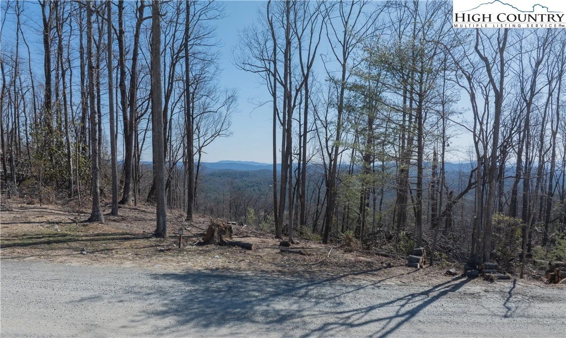 Image number 2 for the current listing