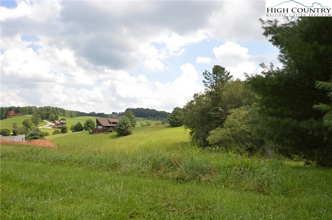 Image number 12 for the current listing