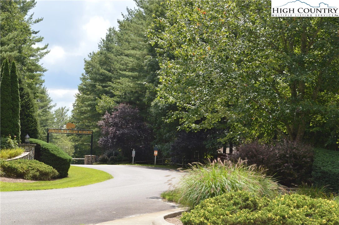 Image number 9 for the current listing