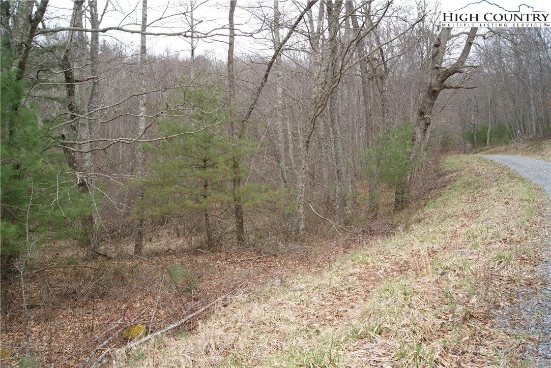 Image number 3 for the current listing