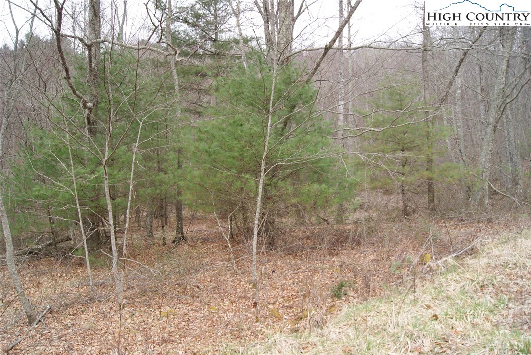 Image number 4 for the current listing