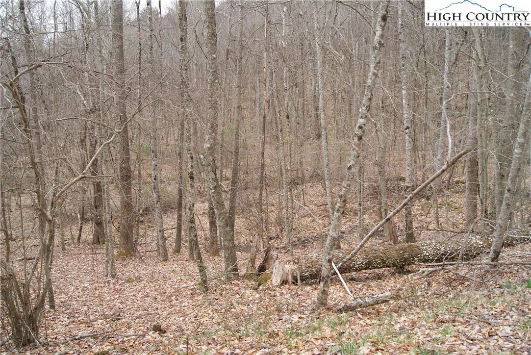 Image number 5 for the current listing