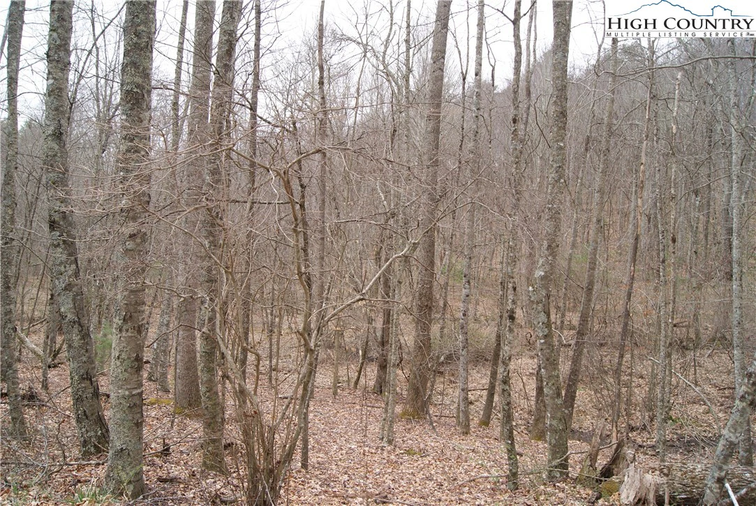 Image number 6 for the current listing
