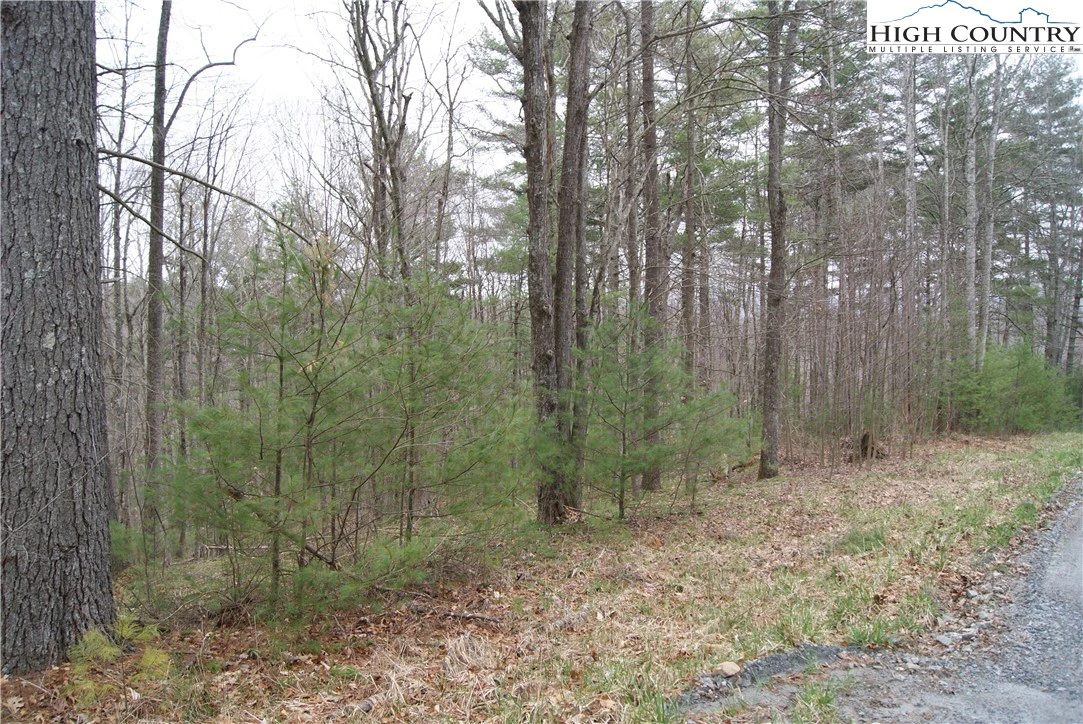 Image number 7 for the current listing