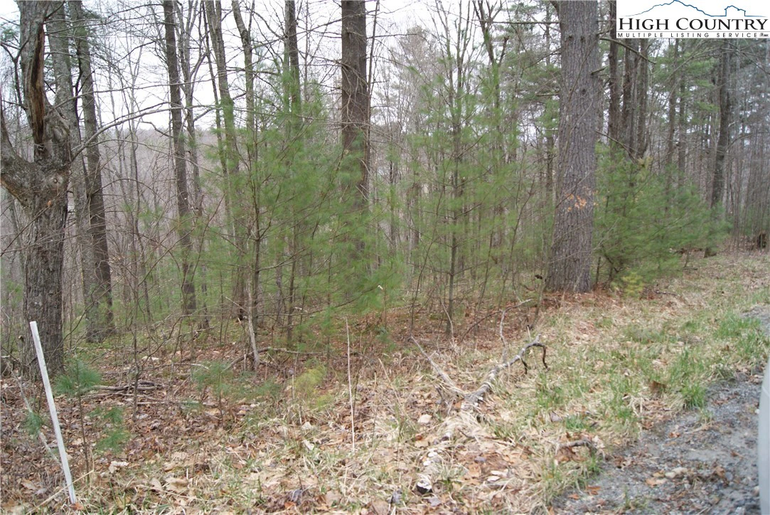Image number 8 for the current listing