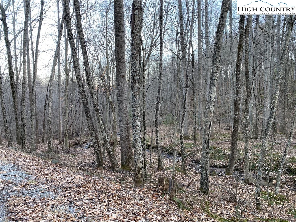 Image number 12 for the current listing