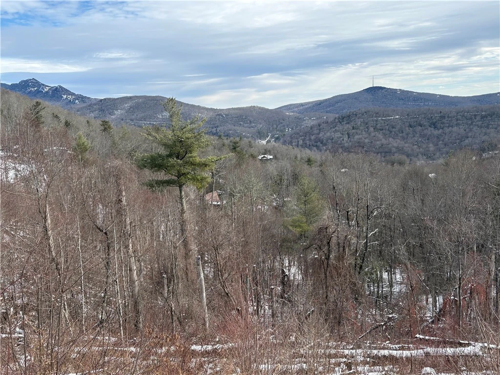 Image number 2 for the current listing