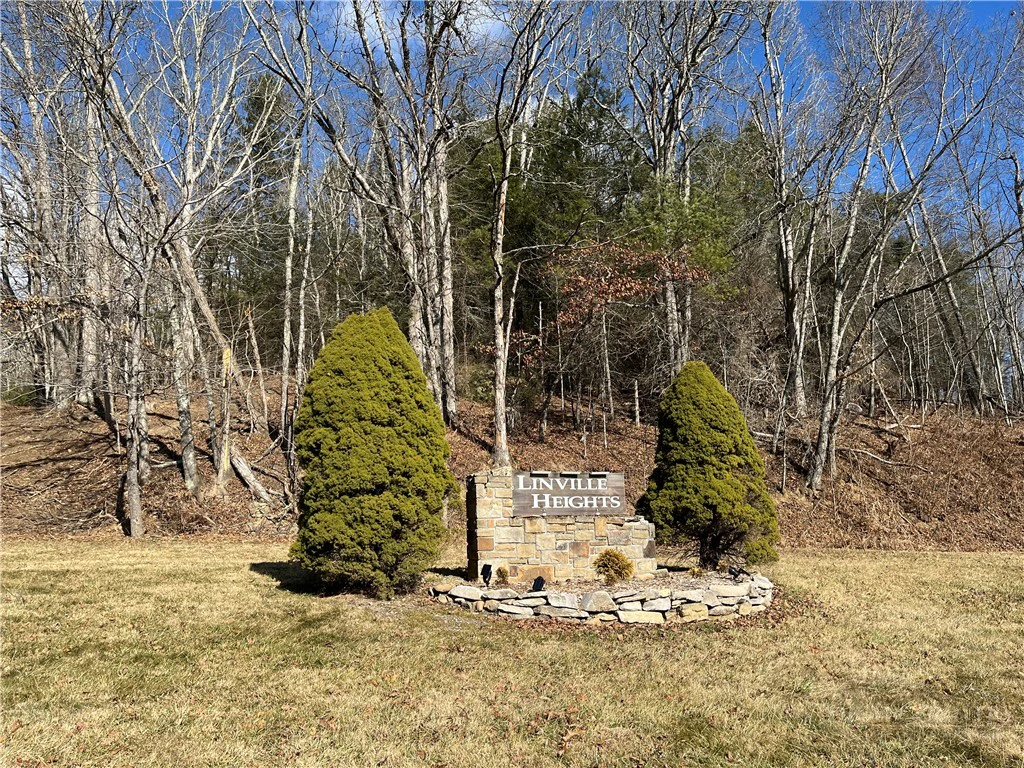 Image number 3 for the current listing