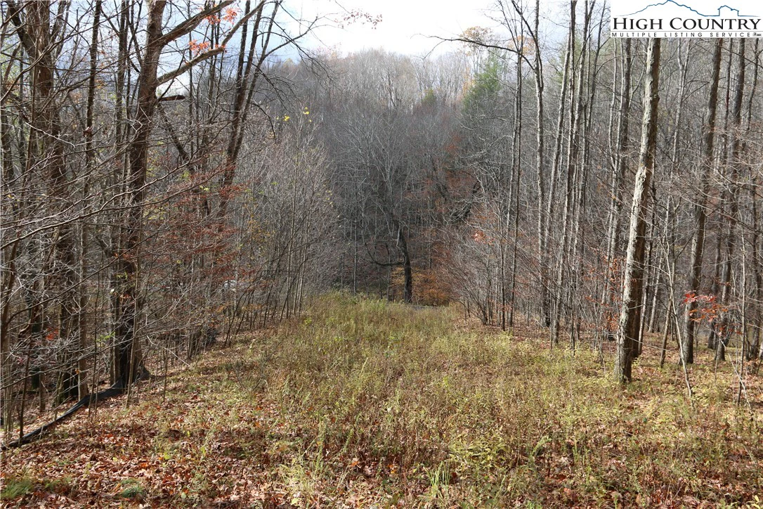 Image number 1 for the current listing