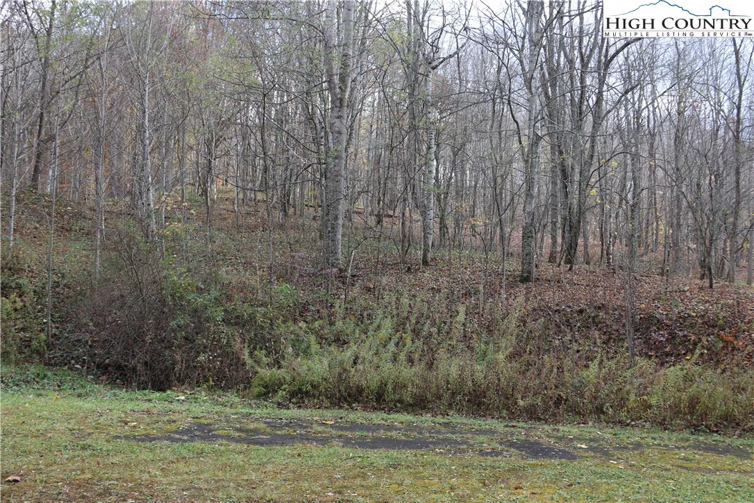 Image number 21 for the current listing