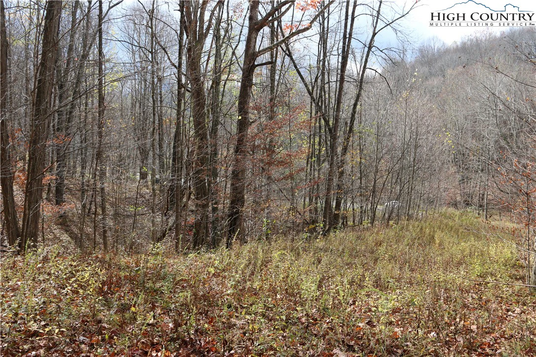 Image number 18 for the current listing