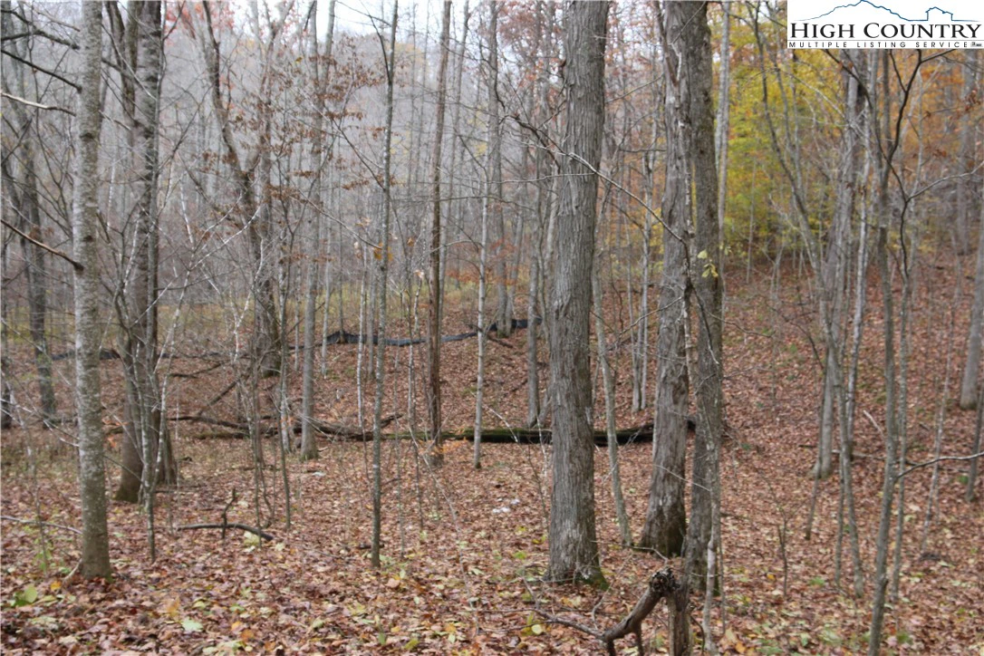 Image number 16 for the current listing