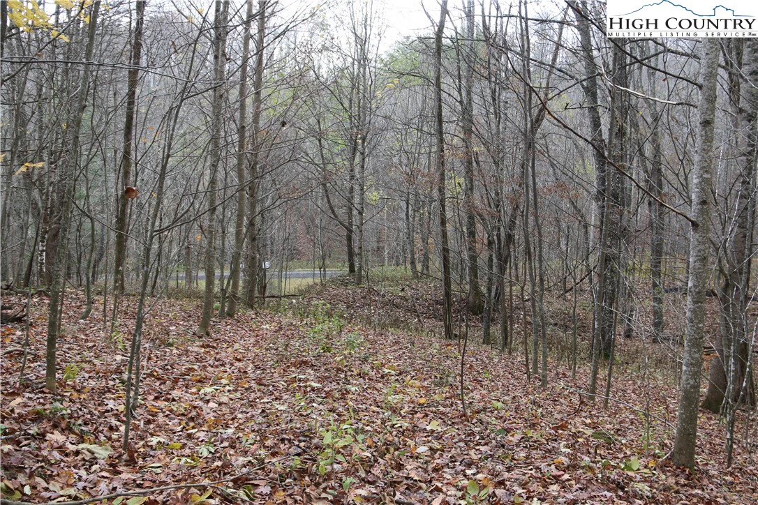 Image number 14 for the current listing