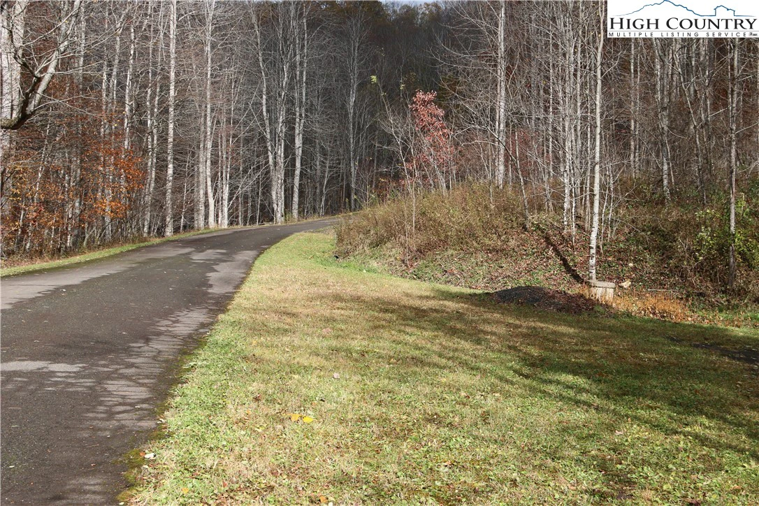 Image number 2 for the current listing