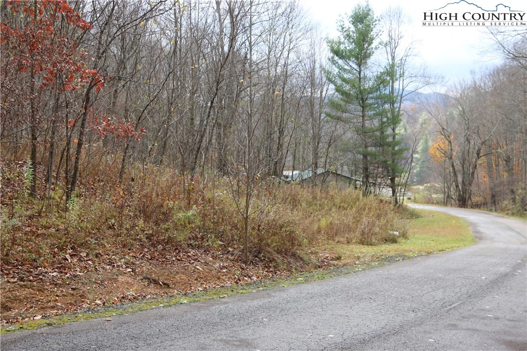 Image number 11 for the current listing