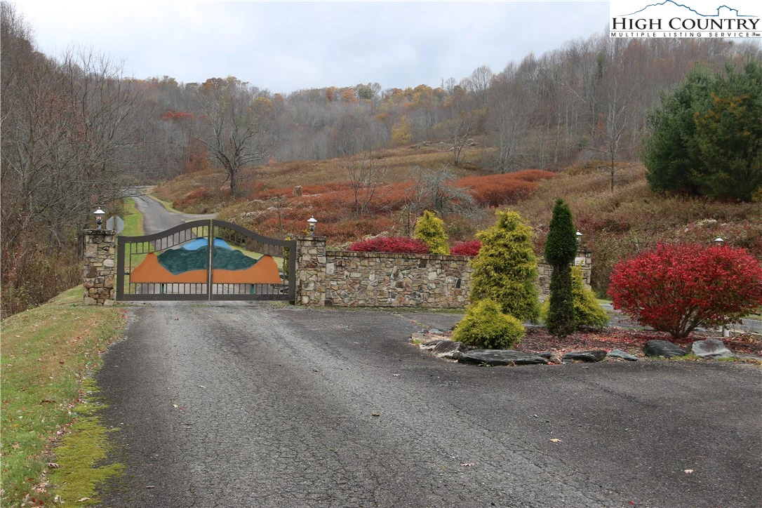 Image number 4 for the current listing