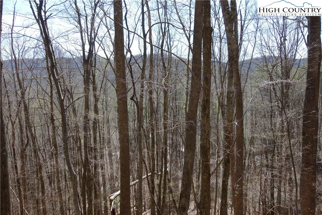 Image number 19 for the current listing