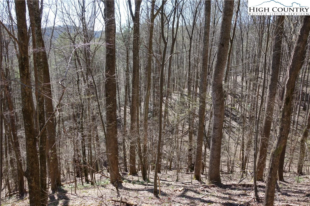 Image number 18 for the current listing