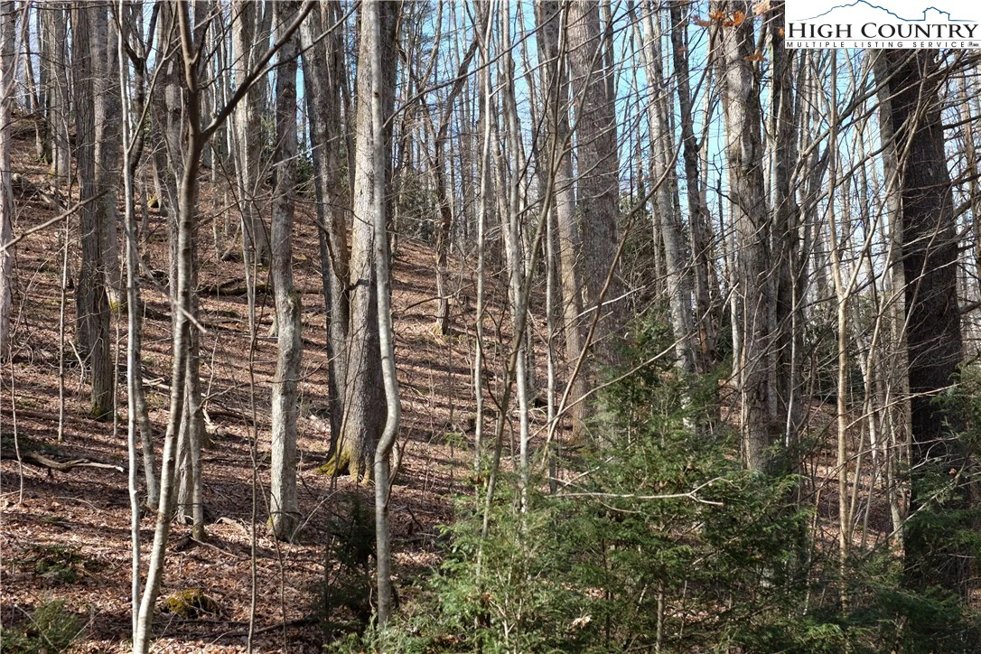 Image number 15 for the current listing